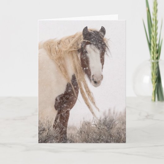 Carte de vacances "Topeka in Winter" (Devant)