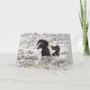 Carte de vacances "Washakie in Winter"