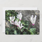 Carte de vacances Wild Flowers Flat (Devant)