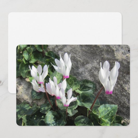 Carte de vacances Wild Flowers Flat (Devant / Derrière)