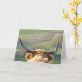 Carte de vache Highland (Fleur jaune)