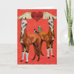 Carte de Valentine de coeur de LAMAS et de PLUMES