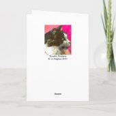 Carte de Valentine de guitare de jazz (Dos)