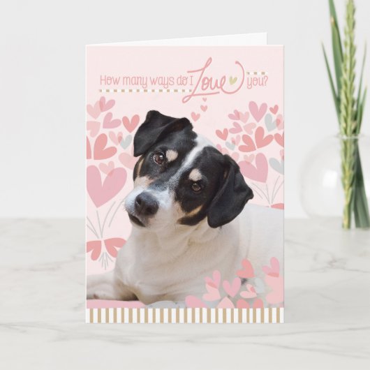 Carte de Valentines de chien mignonne - Combien de (Devant)