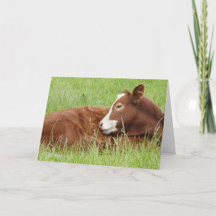 Carte de veau dormante
