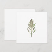 Carte de verdure plante aux herbes Sage (Devant / Derrière)