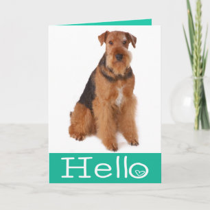 Carte de vers pour chiot Airedale Terrier - Bonjou