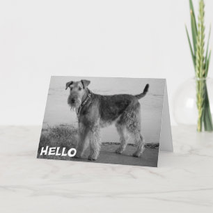 Carte de vers pour chiot Airedale - Vers