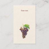 Carte de vignes aquarelle (Dos)