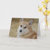 Carte de visage douce de corgi (Fleur jaune)