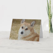 Carte de visage douce de corgi (Devant)