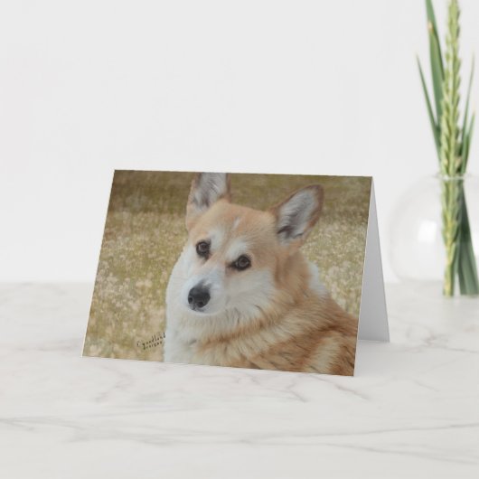Carte de visage douce de corgi (Devant)