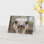 Carte de visage Ostrich (Fleur jaune)