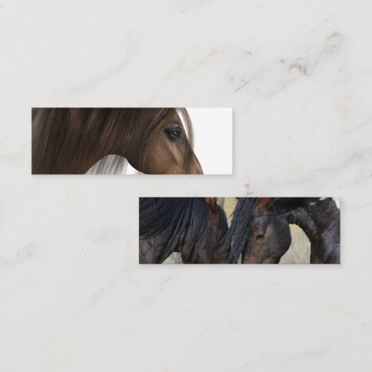 Carte de visite (Devant / Derrière)