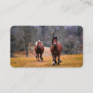 Carte de visite
