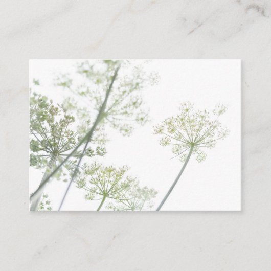 Carte de visite (Devant)