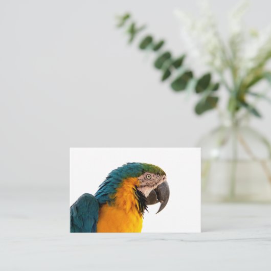 Carte de visite (Debout devant)