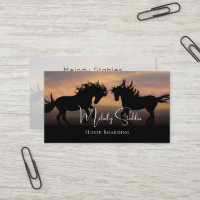 2 Chevaux sauvages Silhouette Photo