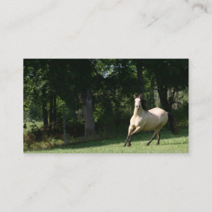 carte de visite 2 de cheval de peau de daim