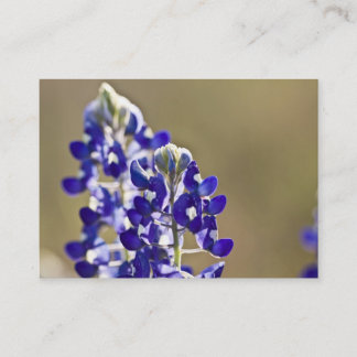 Carte De Visite 2 est meilleur qu'un