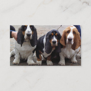 Carte De Visite 3 chiots basset hound