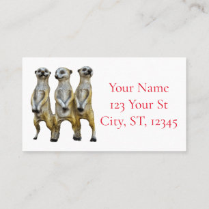 Carte De Visite 3 Meerkats debats Thunder_Cove