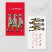 Carte De Visite 3 Meerkats debats Thunder_Cove (Devant / Derrière)