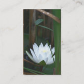 Carte de visite à fleurs Lotus Lotus (Dos)