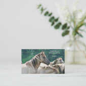 Carte De Visite A herd of Brumby Horses from Australie (Debout devant)