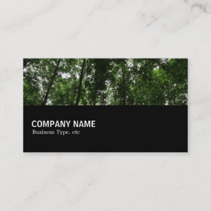 Carte De Visite À mi-chemin 0104 - Canopée de Woodland 02