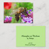 Carte De Visite Abeille sur l'ATC de verveine (Devant / Derrière)