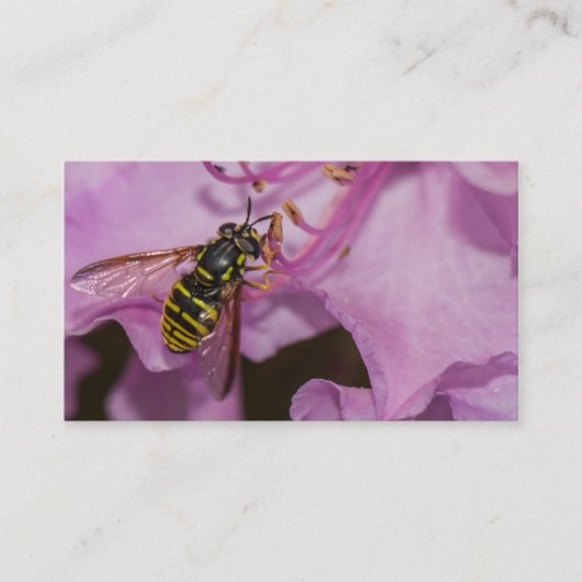 Carte De Visite Abeille sur une fleur violette (Devant)
