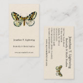 Carte De Visite Abraxas grossulariata, Image de couleur de la teig (Devant / Derrière)