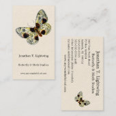 Carte De Visite Abraxas sylvata - La papillon de papillon (Devant / Derrière)