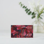 Carte De Visite Abréviation rouge effilée (Debout devant)