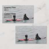 Carte de visite absent de Wakeboarder (Devant / Derrière)