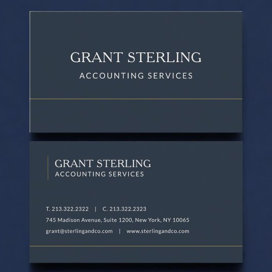 Carte De Visite Accounting Services Navy Blue Professional