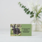 Carte De Visite Ach (Debout devant)