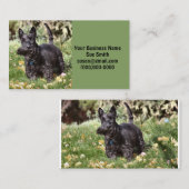 Carte De Visite Ach (Devant / Derrière)