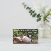 Carte De Visite Acres de Jonny sur place (Debout devant)