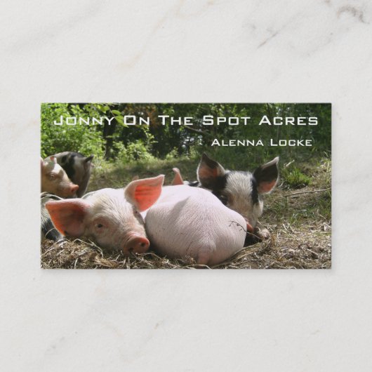 Carte De Visite Acres de Jonny sur place (Devant)