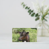 Carte De Visite Acres de Jonny sur place (Debout devant)