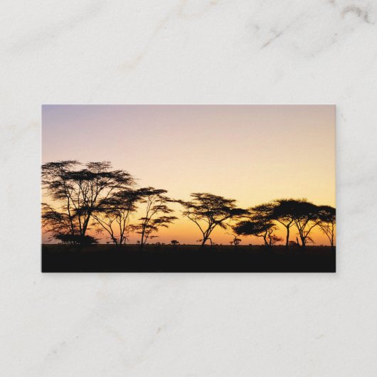 Carte De Visite Afrique - Coucher de soleil (Devant)