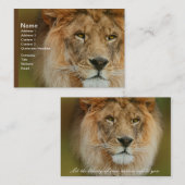 Carte De Visite Afrique du Sud Majestic Lion Fermer (Devant / Derrière)