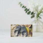 Carte De Visite Âge d'or (Debout devant)