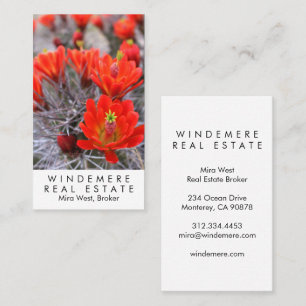 Carte De Visite Agent immobilier unique Courtier Red Cactus Blooms