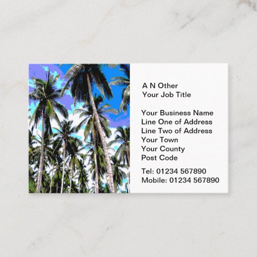 Carte De Visite Agents de voyage (Devant)