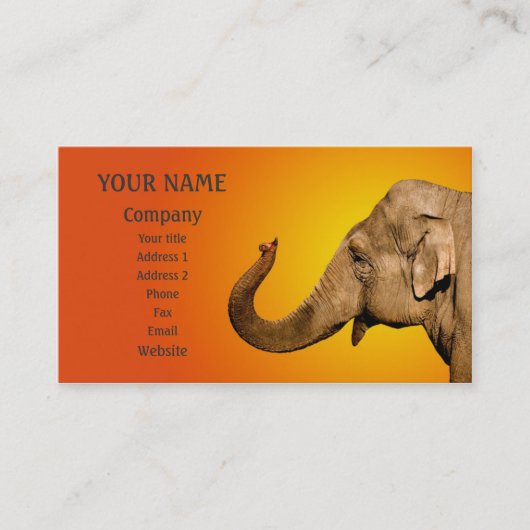 Carte De Visite Agiter l'éléphant (Devant)