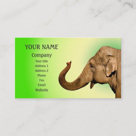 Carte De Visite Agiter l'éléphant (Devant)