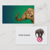 Carte De Visite Agiter l'éléphant (Devant / Derrière)